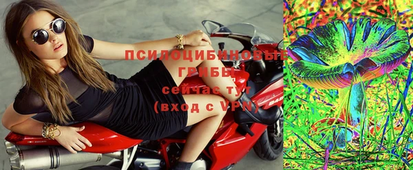 spice Алексин