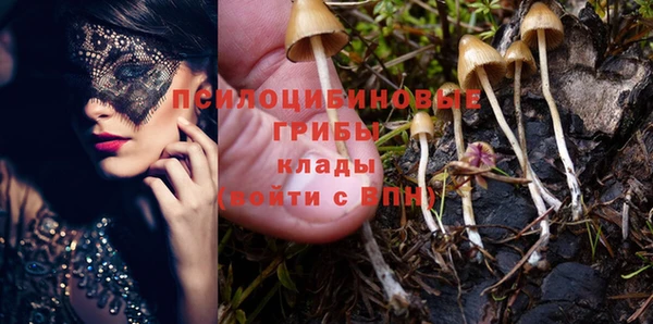 амф Алзамай