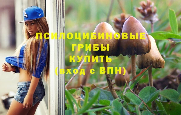 амф Алзамай