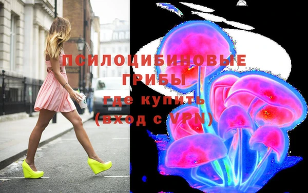 spice Алексин