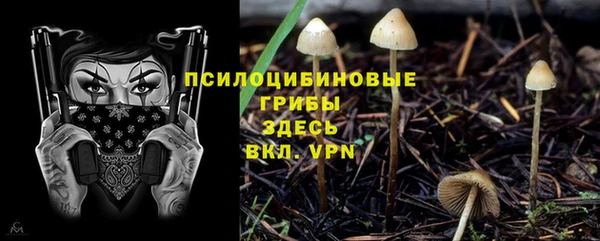 spice Алексин