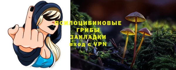 а пвп мука Новозыбков